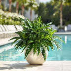 artificial greenery stems fake bird nest fern faux on a desk or shelf