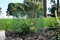 6 new small wire plant protectors, 12" square, main product view