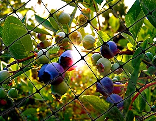 bird-x standard netting for pigeons sparrows starlings 100x14 showing dimensions