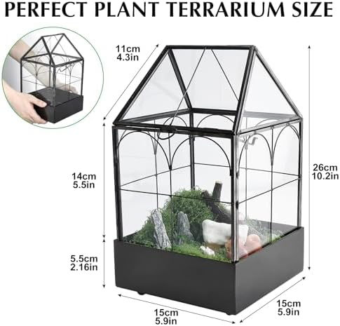 highfree glass terrarium with metal tray, glass greenhouse, close-up detail