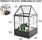 highfree glass terrarium with metal tray, glass greenhouse, close-up detail