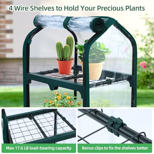 ohuhu mini greenhouse for indoor outdoor, small plastic on a desk or shelf