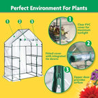 miracle-gro walk-in greenhouse, removable shelves, clear, 4'8"x29"x6'5 showing dimensions