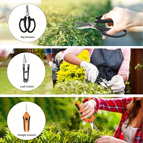 bonsai tools set, 20 pcs gardening succulent tree, side view