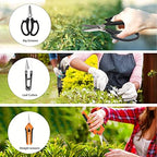 bonsai tools set, 20 pcs gardening succulent tree, side view