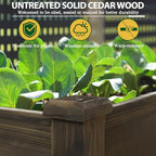 bluewish 72''l x 23''w x 30''h outdoor cedar, side view