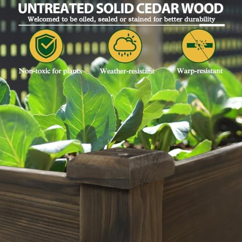 bluewish 72''l x 23''w x 30''h outdoor cedar, side view