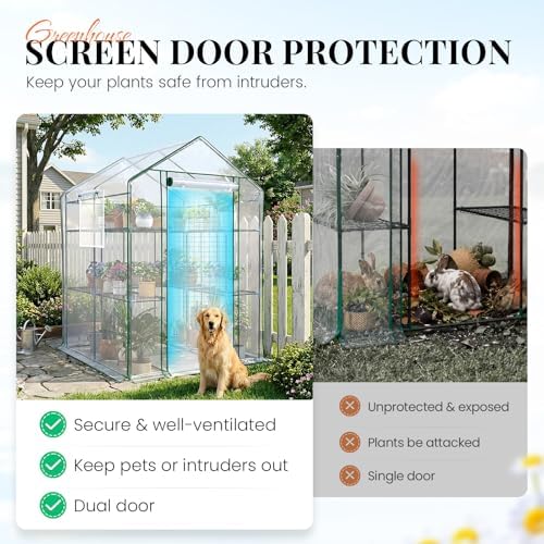 king bird premium greenhouse for outdoors, 56x56x77 upgraded showing dimensions