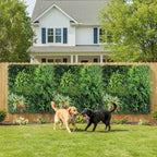 artificial grass wall panels, 40"x40" greenery wall boxwood, package contents