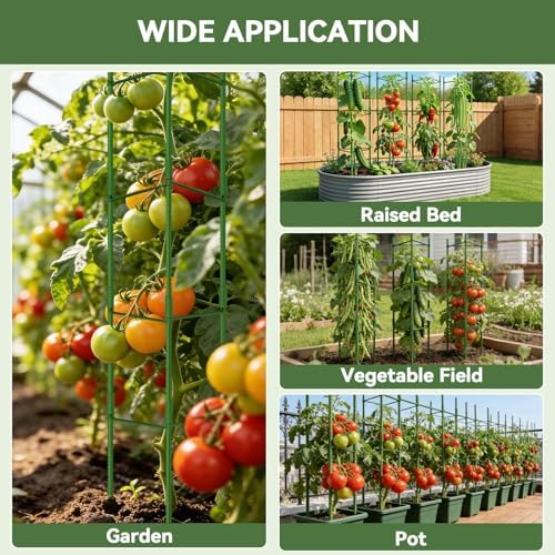 halatool 4 pack tomato cages for garden, up, front angle view