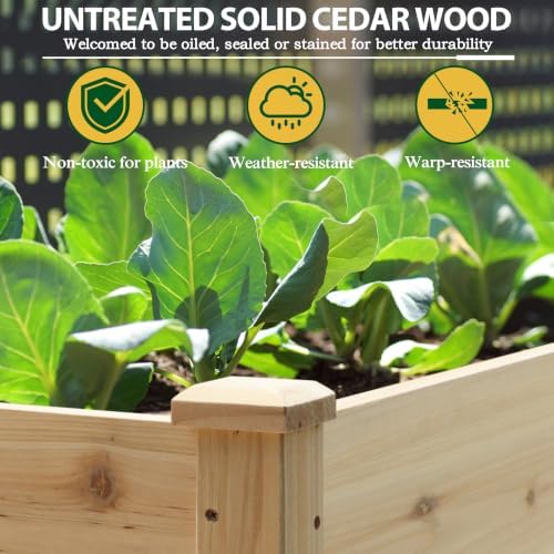 bluewish 96''l x 24''w x 30''h outdoor cedar, side view