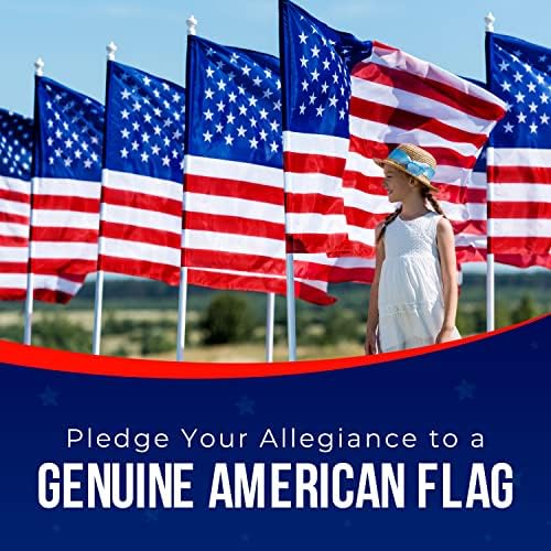 american flag | american flags for outside 4x6, side view