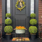 haute decor adjustable artificial boxwood topiary tree, close-up detail