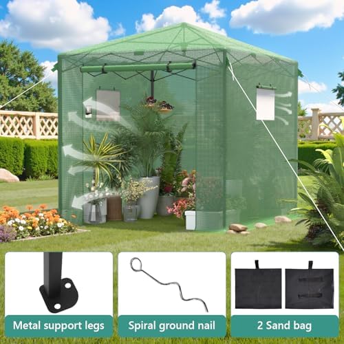 8x6 ft walk‑in green house for outdoors, pop‑up showing dimensions