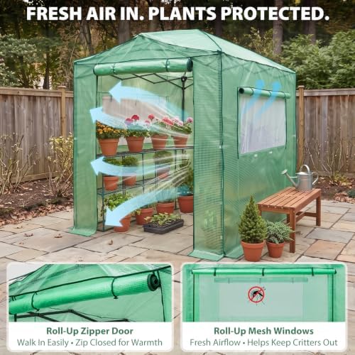 eagle peak 8x6 easy setup pop up greenhouse shown in use