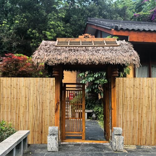 4ft x 6ft natural bamboo fence roll, outside, front angle view
