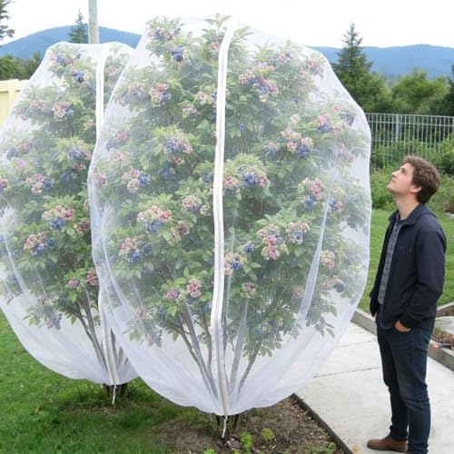 blueberry bush netting cover 2 pack, 10 x, view 9
