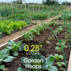 rifny garden hoops for raised beds, greenhouse hoops shown in use