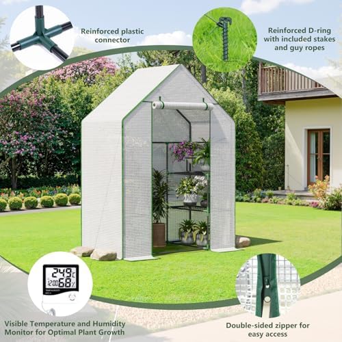 small greenhouse for outdoors, walk-in plant greenhouse with showing dimensions