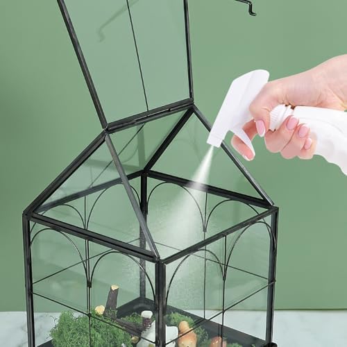 highfree glass terrarium with metal tray, glass greenhouse showing dimensions
