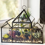 d'eco glass castle plant terrarium, centerpiece & wedding shown in use