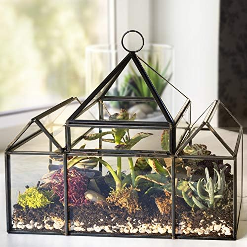 d'eco glass castle plant terrarium, centerpiece & wedding shown in use