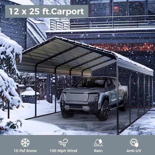 green party 12x25 ft metal carport heavy duty, side view
