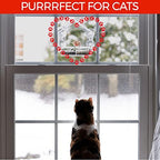 window bird feeder with strong suction cups, bird, package contents
