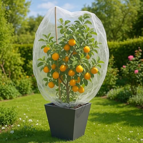fruit tree protection bags 4.5x6 ft | pack, main product view