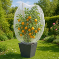 fruit tree protection bags 4.5x6 ft | pack, main product view