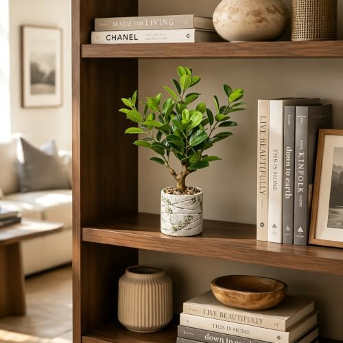 20.5 inch artificial ficus tree in cement pot on a desk or shelf