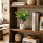 20.5 inch artificial ficus tree in cement pot on a desk or shelf