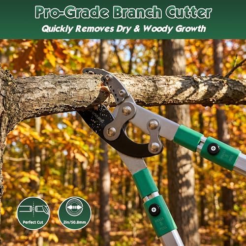 loppers branch cutter 28"-41" telescoping lopper heavy duty on a desk or shelf