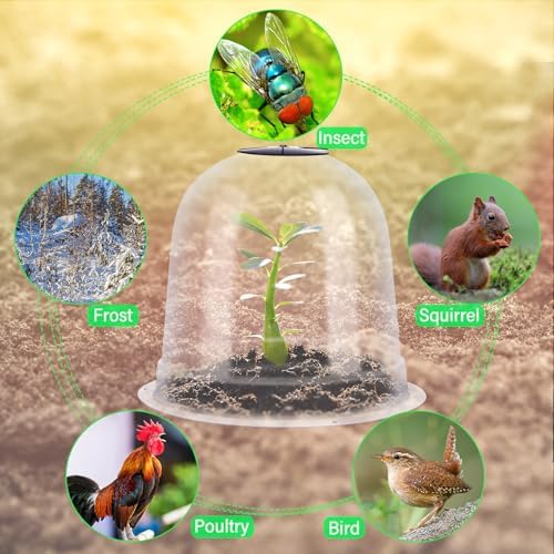 zopeal 20 pcs large garden cloche humidity plant showing dimensions