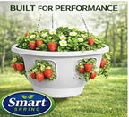 ultimate hanging baskets - strawberry, tomato, flower, and on a desk or shelf
