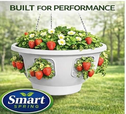 ultimate hanging baskets - strawberry, tomato, flower, and on a desk or shelf