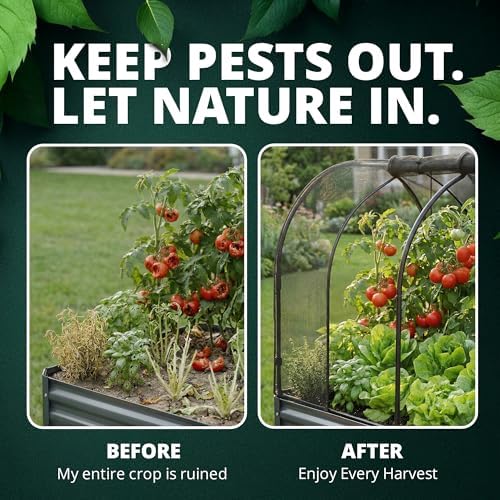 raised garden bed cover 6x3, crop cage for showing dimensions