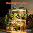 bstrip small tabletop greenhouse with grow light, indoor, close-up detail