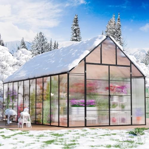 cdcasa 10x20 ft greenhouse for outdoors, large easy, front angle view