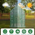 heyfurni walk in greenhouse with shelves,walk-in plant green showing dimensions