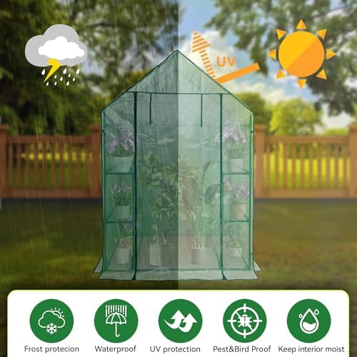 heyfurni walk in greenhouse with shelves,walk-in plant green showing dimensions