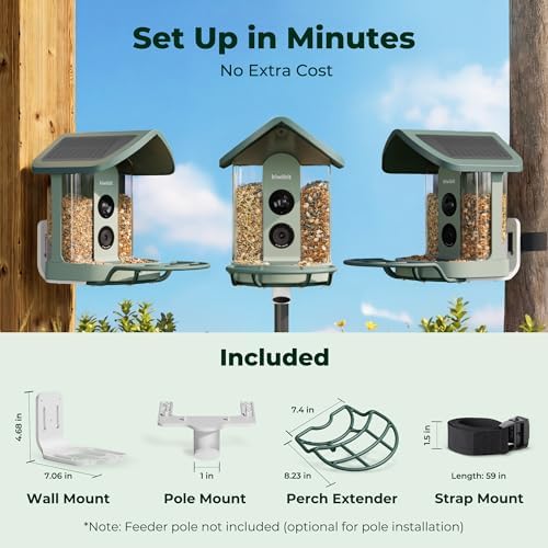 kiwibit solar smart bird feeder with camera, 4k, view 9