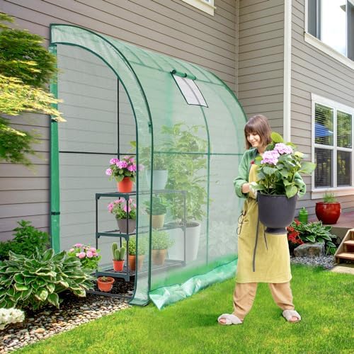 lean-to greenhouse with 3-tier shelves: ohuhu portable walk-in shown in use