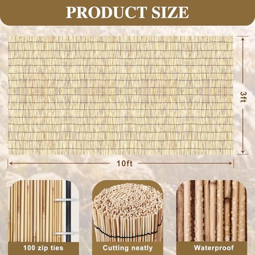 bamboo reed fencing, natural reed fence rolls 3x10ft shown in use