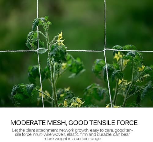 plant trellis netting 5 * 30ft 3.5 mesh, package contents