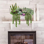 assorted artificial succulents fake plants in rectangular wooden showing dimensions