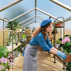 8x12 ft greenhouse, greenhouses for outside, polycarbonate greenhouse, view 9