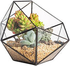 ncyp opened geometric glass terrarium, 6.69" bowl shape shown in use