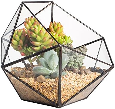 ncyp opened geometric glass terrarium, 6.69" bowl shape shown in use