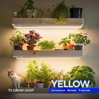 barrina t5 grow lights, yellow, 2ft 40w (4 shown in use